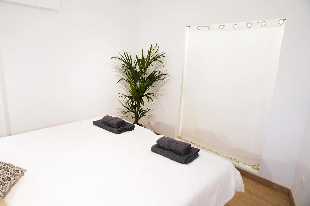 Wind House Apartment El Medano  Spain